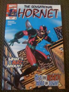 comics_0036 Another of the dual covers from the 'Identity Crisis' bit - The Sensational Hornet
