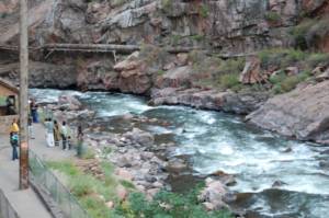 royalgorge0171