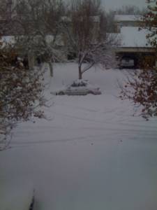 Snow pics