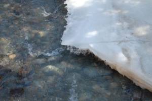 Photo Friday: Ice, Ice, Baby