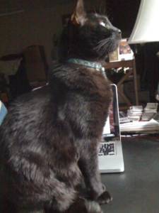 Photo Friday: Writer’s Block