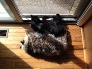 Photo Friday: Rare Peace