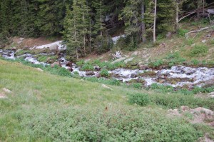 A stream or creek or crick in Rocky Mountain National Park, July 2014