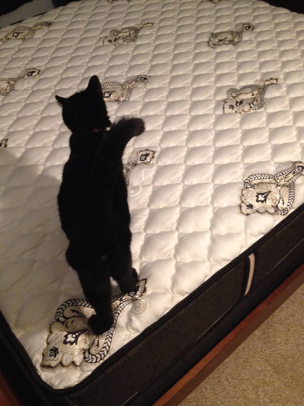 2014_new_bed-rotated.jpg